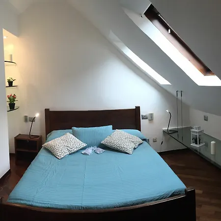 Olivia's Nest In Downtown
